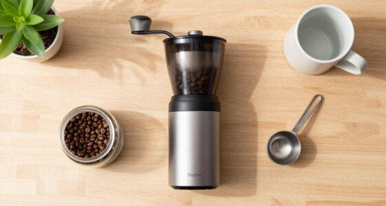 15 Best Electric Coffee Grinders in 2026