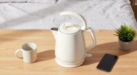 15 Best Electric Kettles for Dorm Rooms in 2026