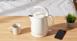 15 Best Electric Kettles for Dorm Rooms in 2026