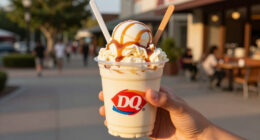 Dq Caramel Apple Cheesecake Blizzard