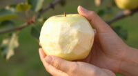 Eating Fruit Skins