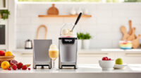 Keep Your Ninja Ice Cream Maker Cool & Crisp All Summer