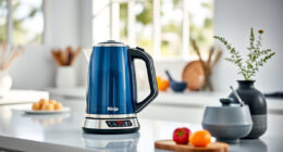 Keep Your Ninja KT200BL Kettle Summer-Ready with Care & Troubleshooting Tips