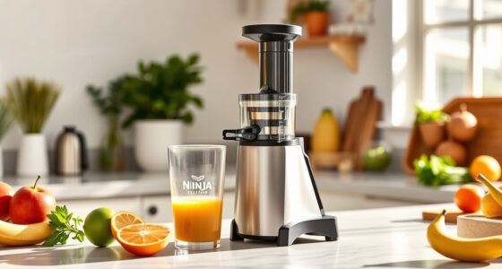 Summer Breeze: Essential Accessories for Your Ninja NeverClog Juicer