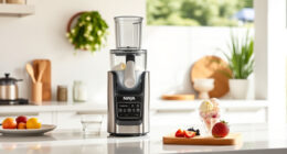 Summer Care Tips for Your Ninja CREAMi 7-in-1 Ice Cream Maker