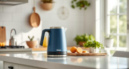 Summer Tea & Coffee Hacks with Ninja KT200BL Electric Kettle