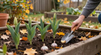 What To Plant In October For A Thriving Fall And Spring Garden