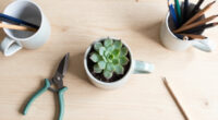 7 Creative Ways To Repurpose Your Favorite Old Mugs